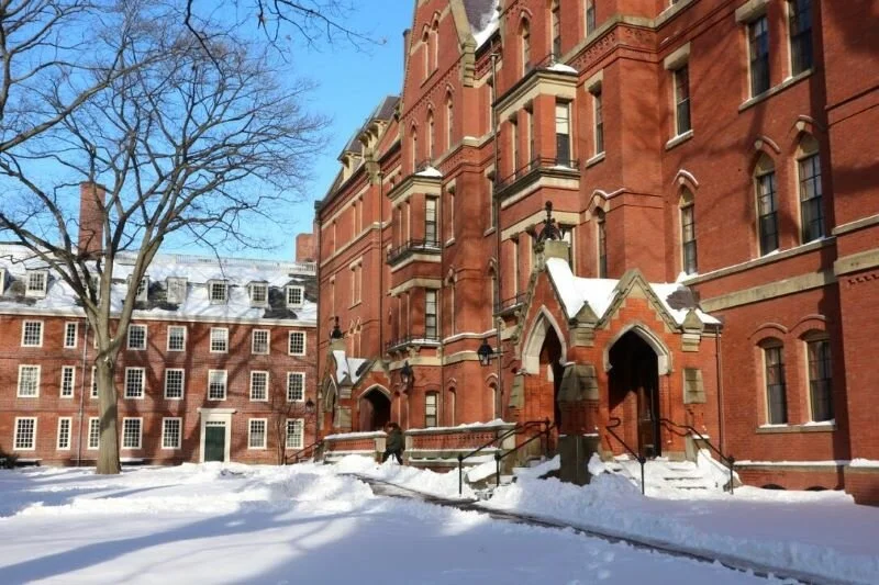 Harvard University